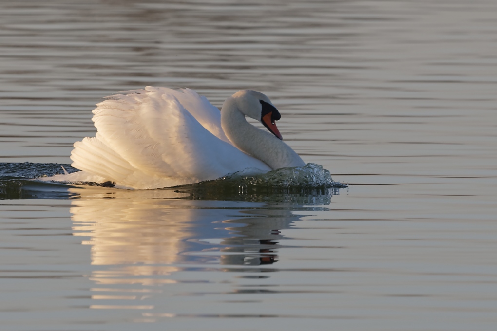 DSC_7359_DxO.jpg