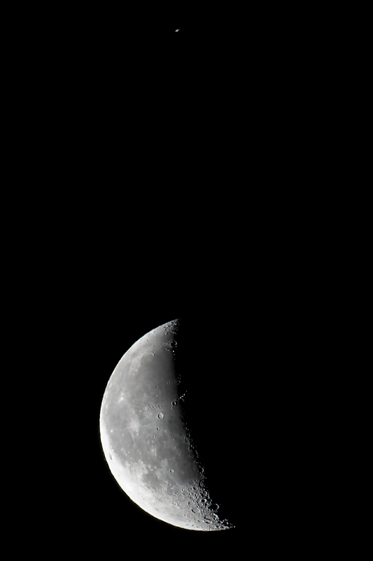 DSC_7685_DxO.jpg