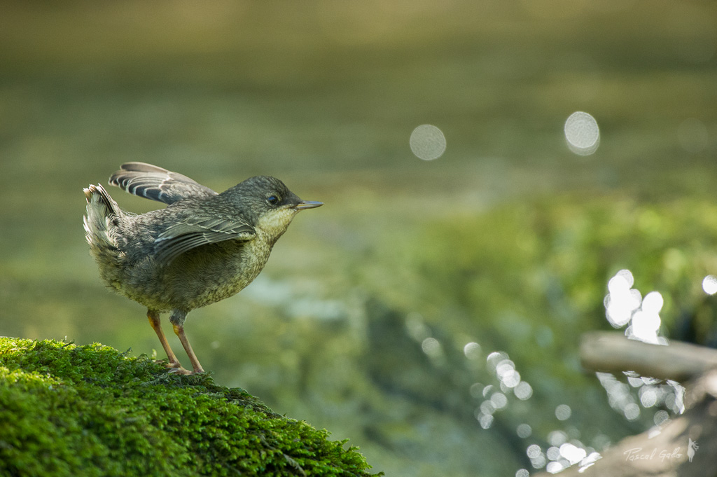 19_DSC_6092.jpg