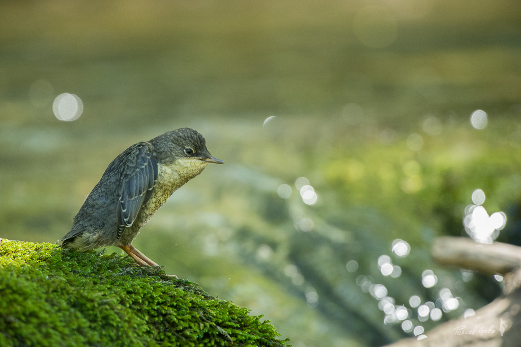 21_DSC_6104.jpg