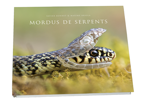 couv livre serpent v2.png