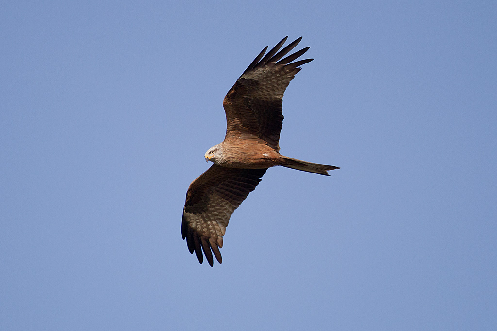 IMG_7790 IN.jpg