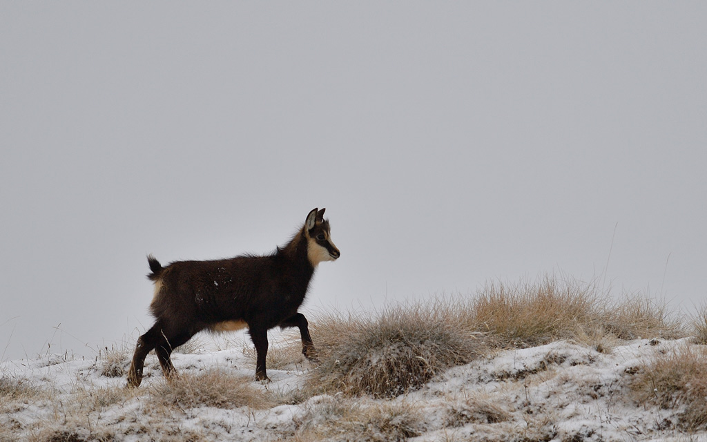 -DS5_8187.jpg
