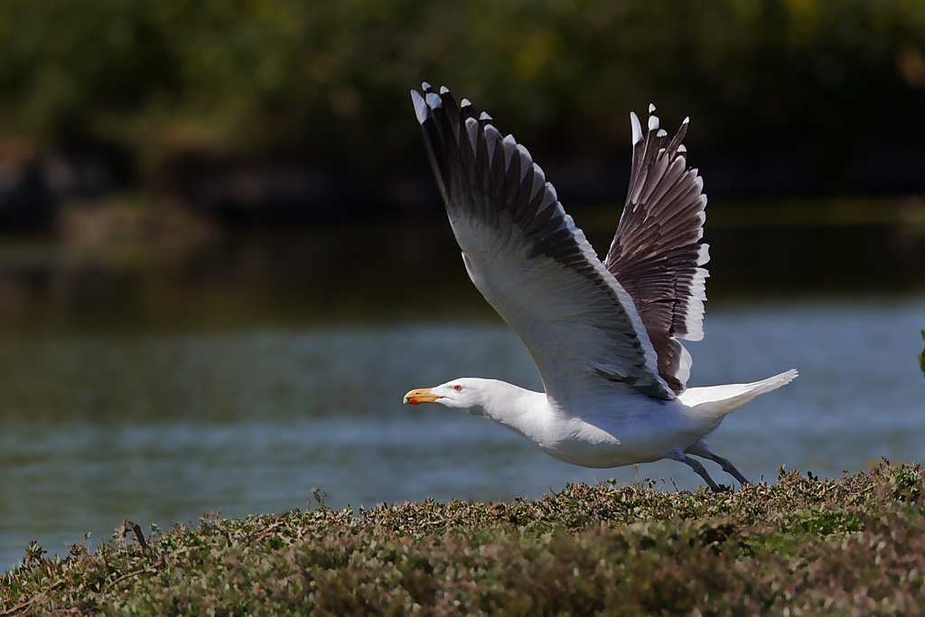 IMG_7512 IN.jpg
