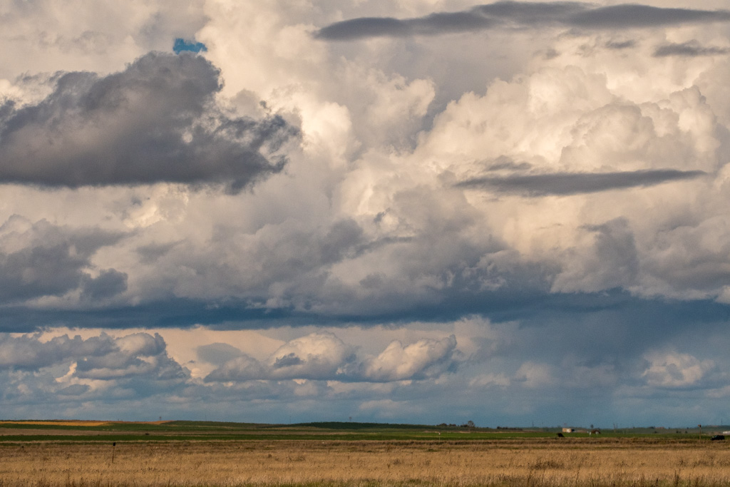 _DSC0887.jpg