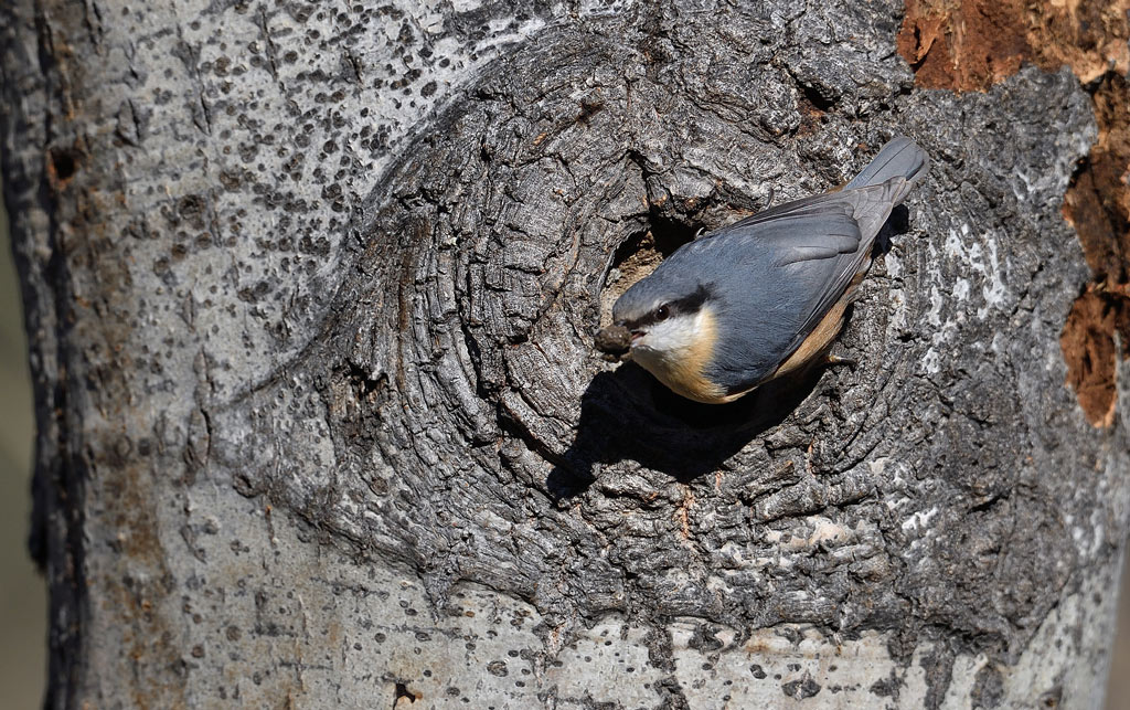 DS5_9181.jpg