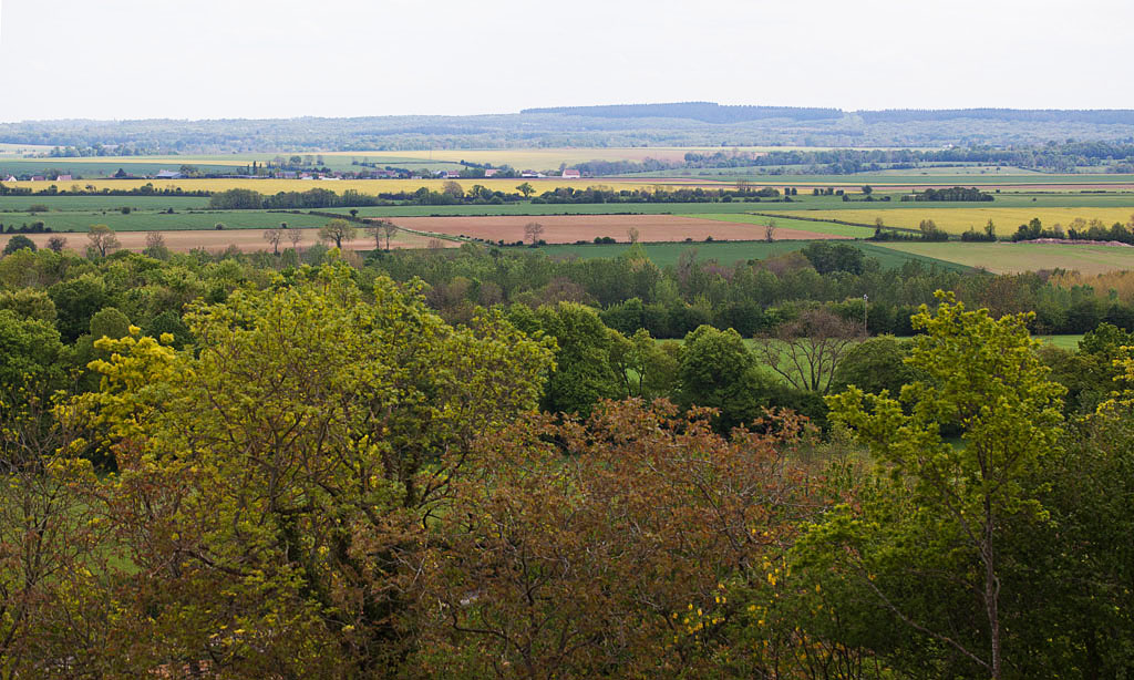 IMG_0655 IN.jpg