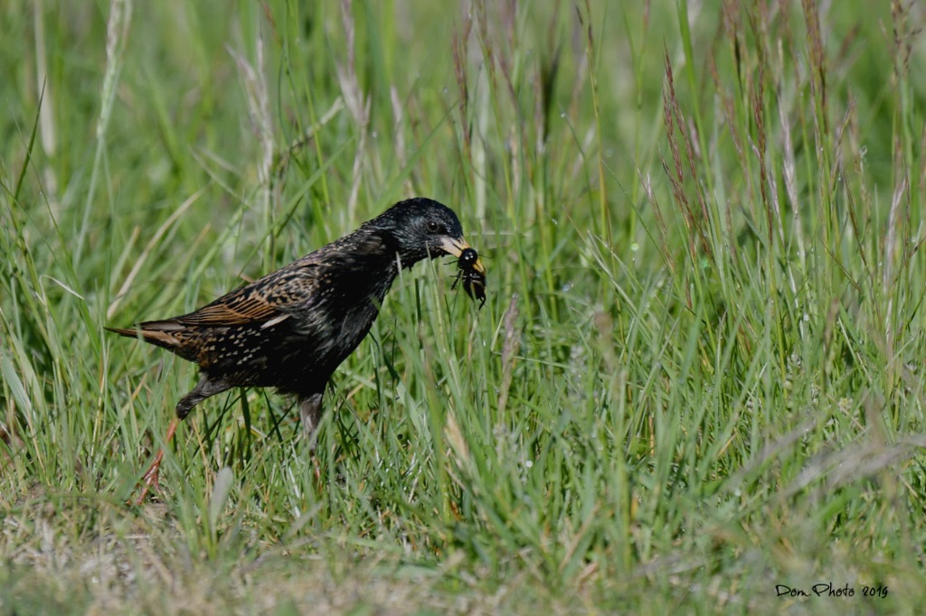 DSC_7539.JPGIN.jpg
