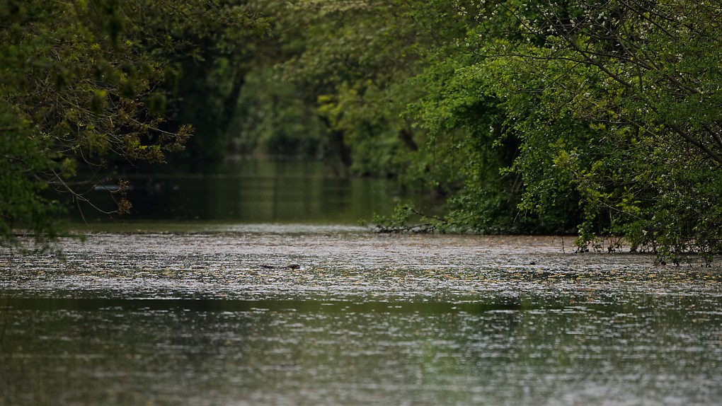 DSC_7999_DxO.jpg