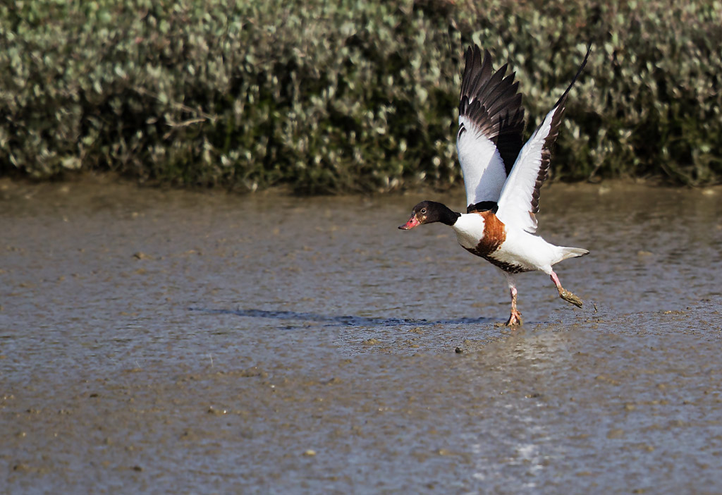 IMG_8428 In.jpg