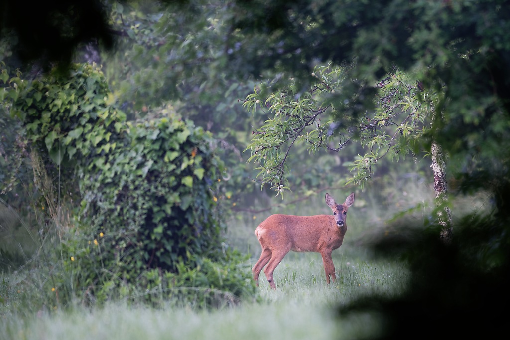 DSC_1783_DxO.jpg