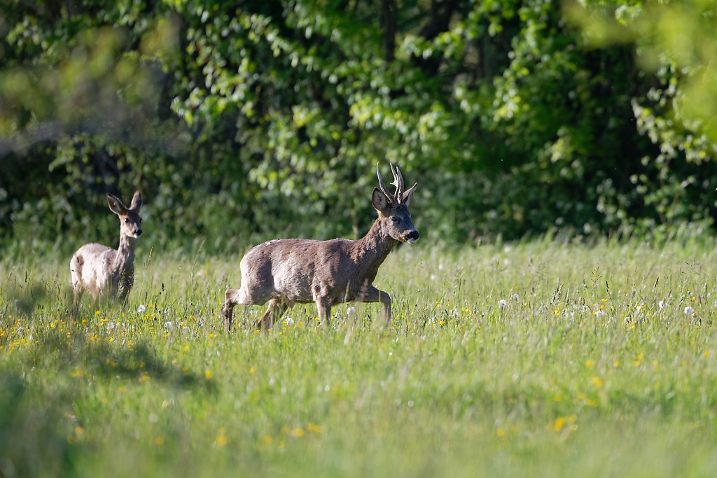 DSC_0428_DxO.jpg