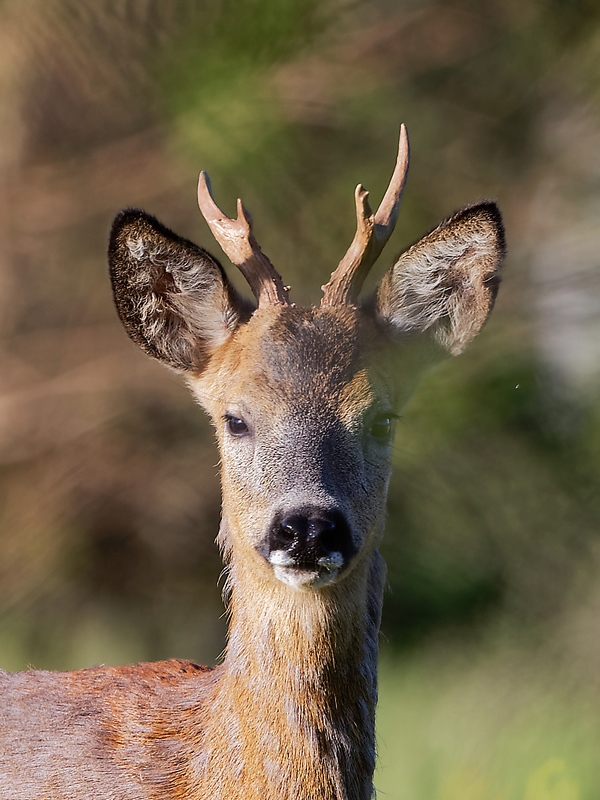 DSC_0436_DxO.jpg