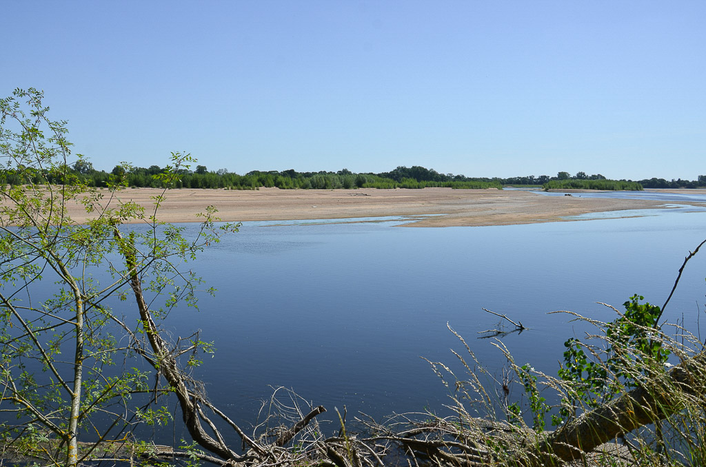 Bord de Loire-6.jpg