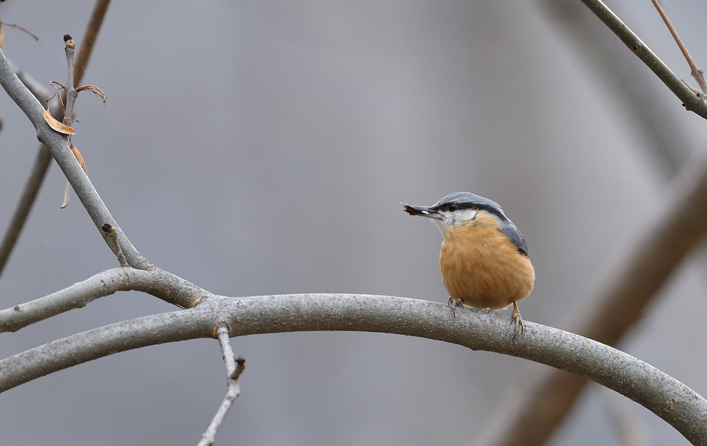 DS5_9387.jpg