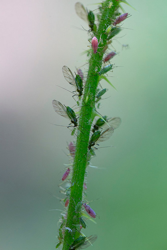 Guipereux _01-06-2019-13-57-50_0050 2.jpg