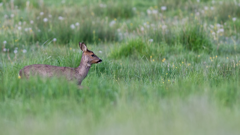 DSC_0865_DxO.jpg