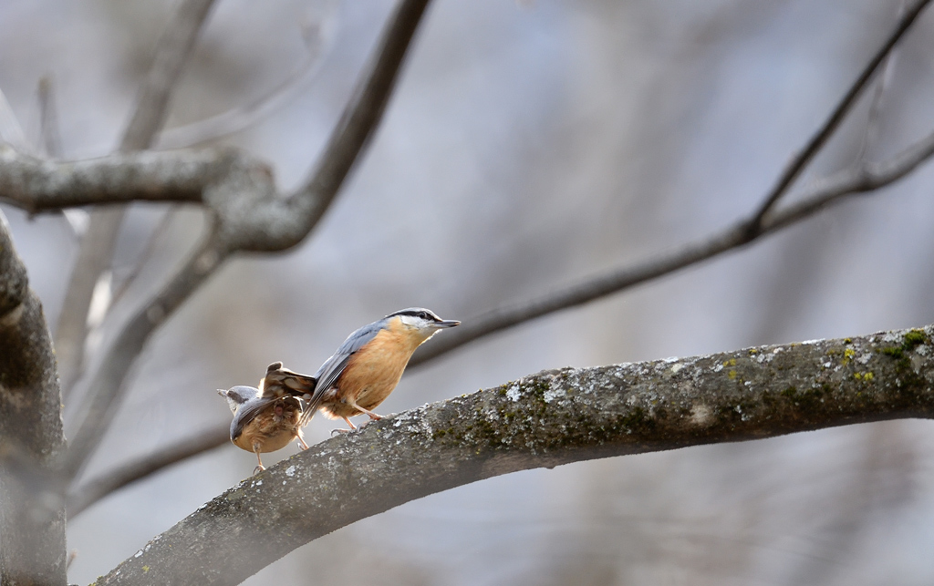 DS5_9403.jpg