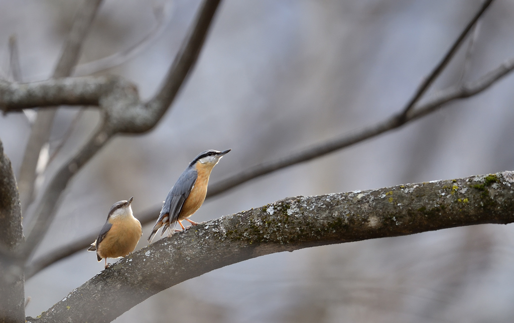 DS5_9408.jpg