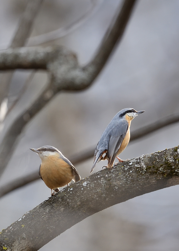 DS5_9411.jpg