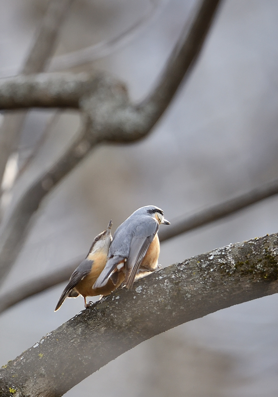 DS5_9418.jpg