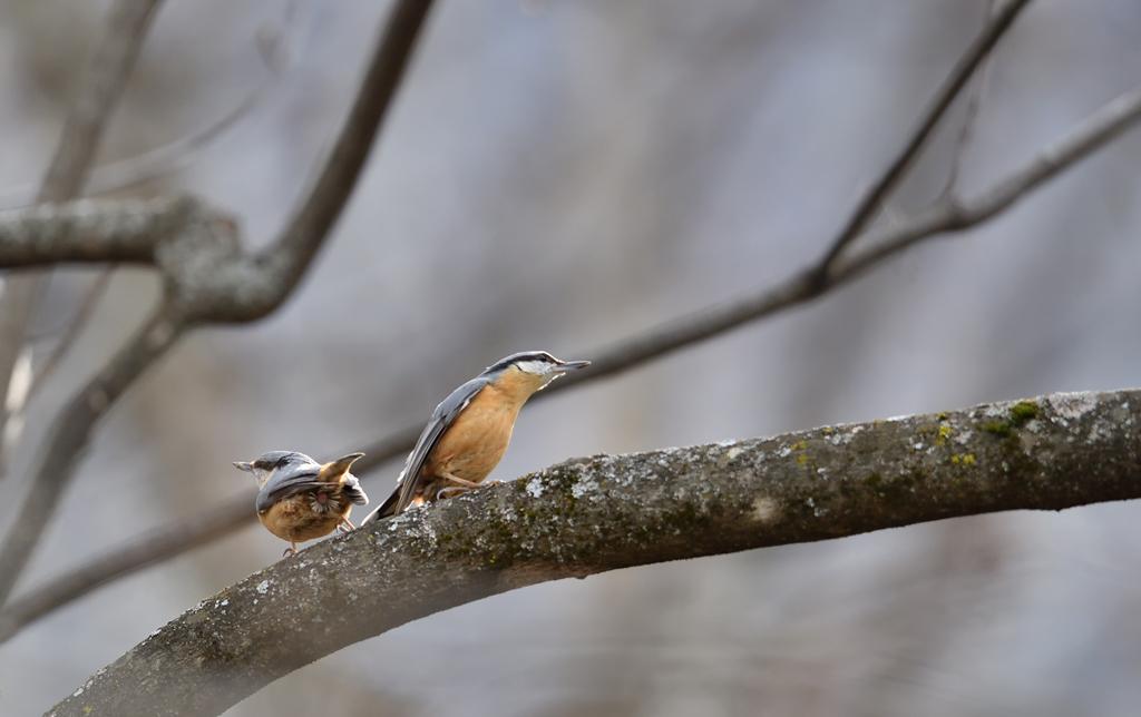 DS5_9430.jpg