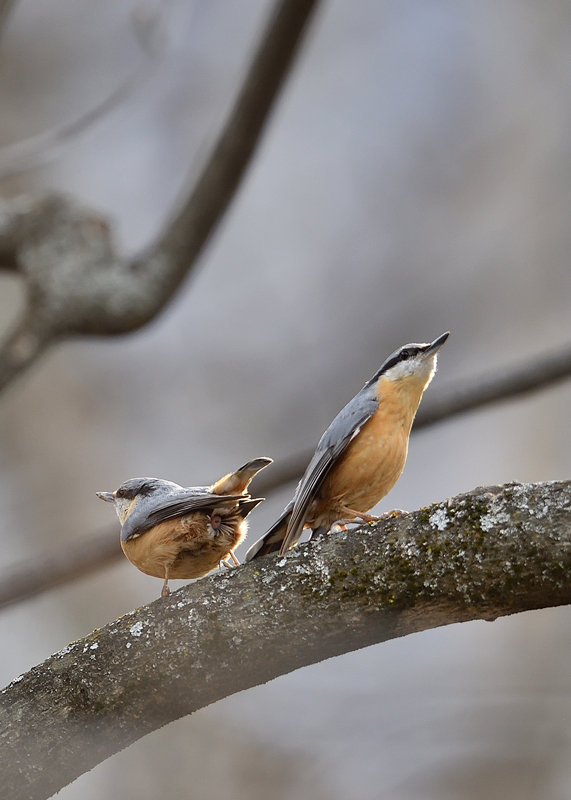 DS5_9432.jpg
