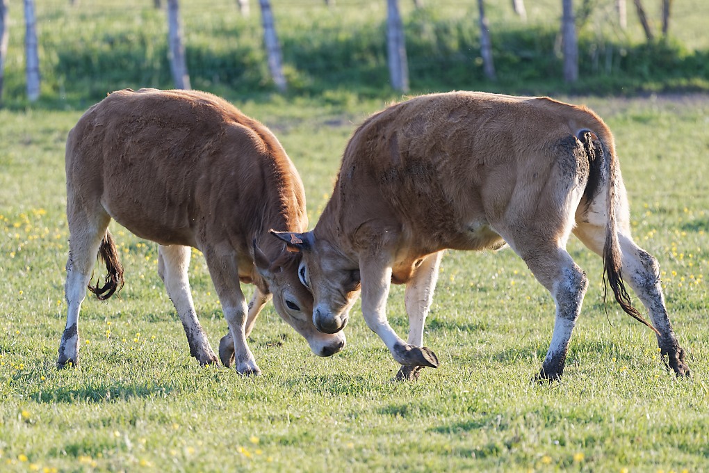 DSC_7916_DxO.jpg