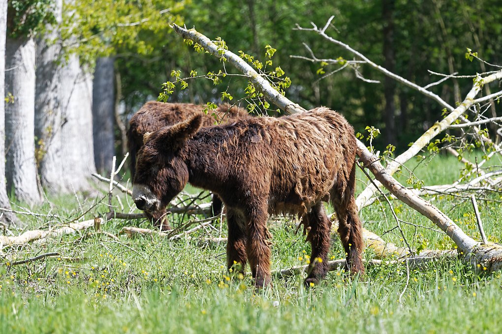 DSC_8169_DxO.jpg