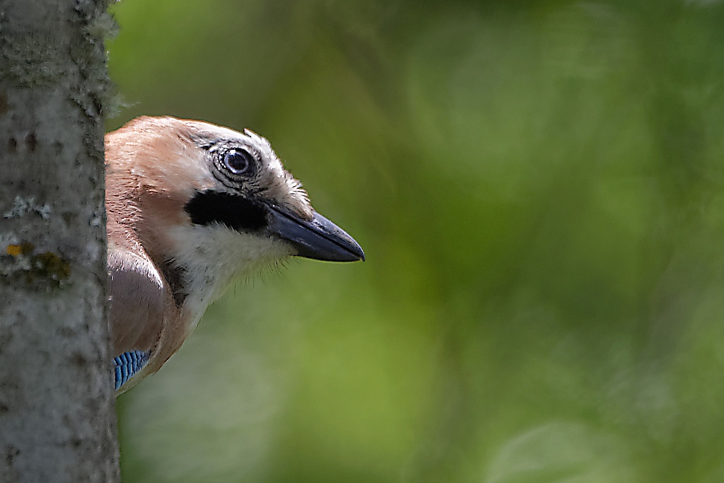 DSC_9112_DxO.jpg