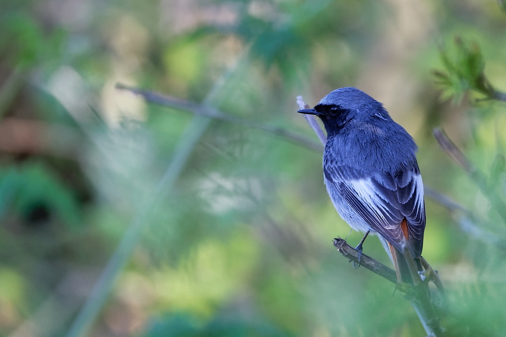 DSC_0444_DxO.jpg