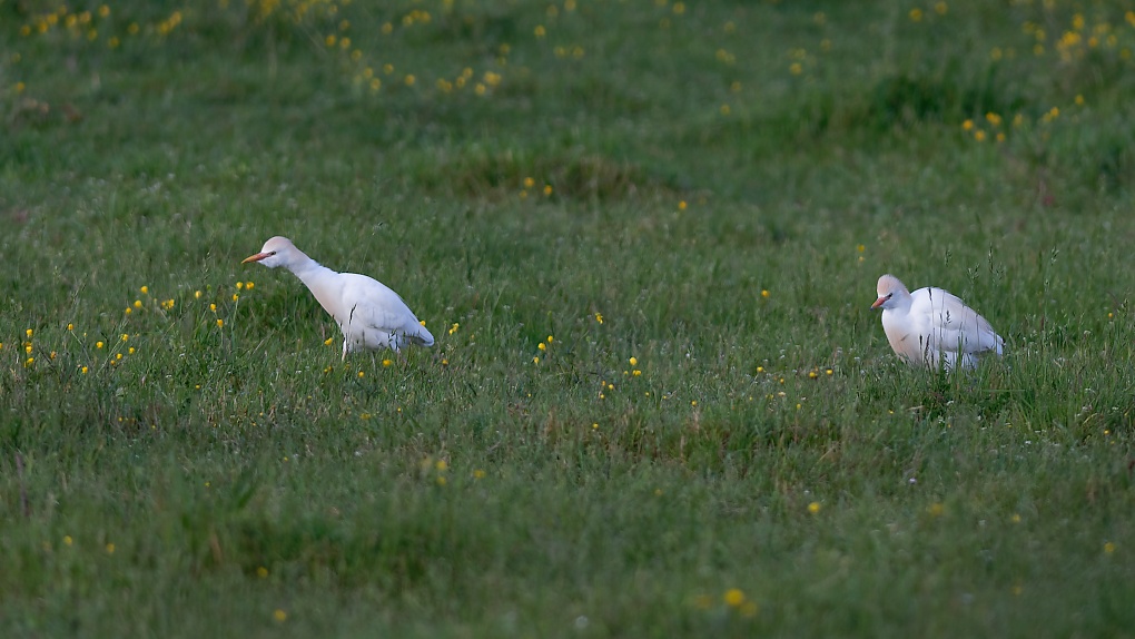 DSC_0834_DxO.jpg