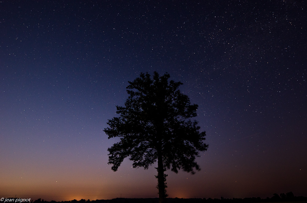 arbre et etoiles 06 2019.JPG