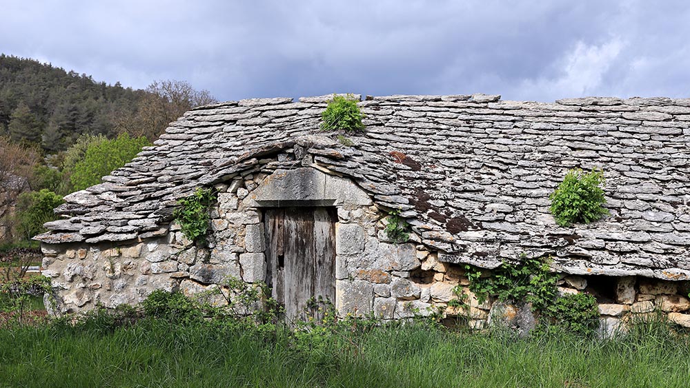IMG_8755 copie.jpg
