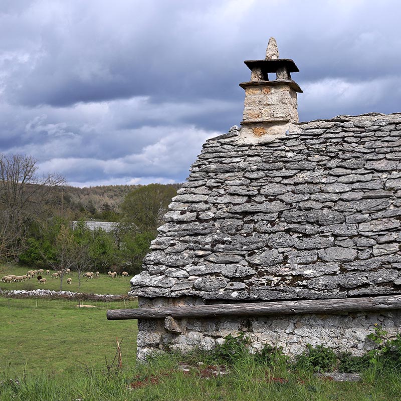 IMG_8756 copie.jpg