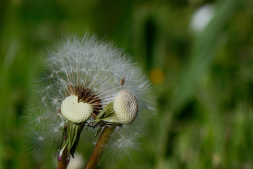DSC_0402_DxO.jpg