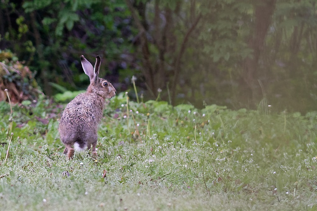 DSC_0828_DxO.jpg