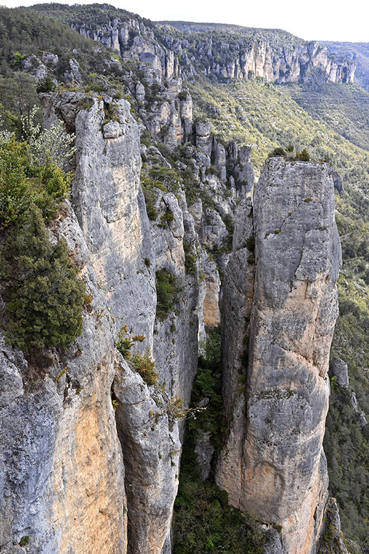 IMG_8793 copie.jpg