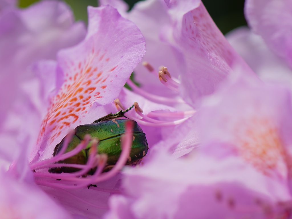 DSC_9148_DxO.jpg