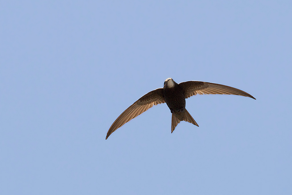 IMG_9474 iIN.jpg