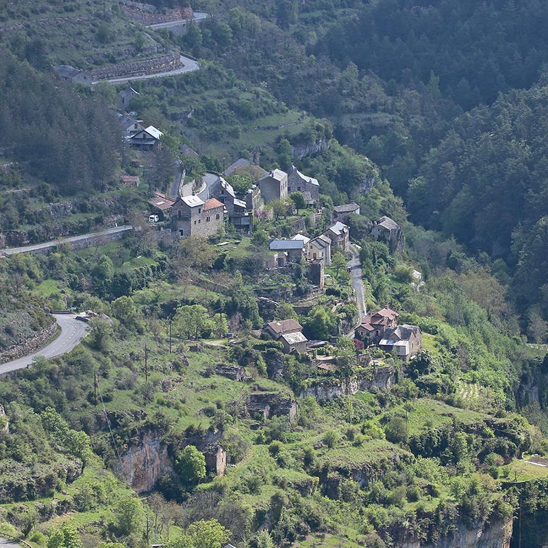 IMG_8393 copie.jpg