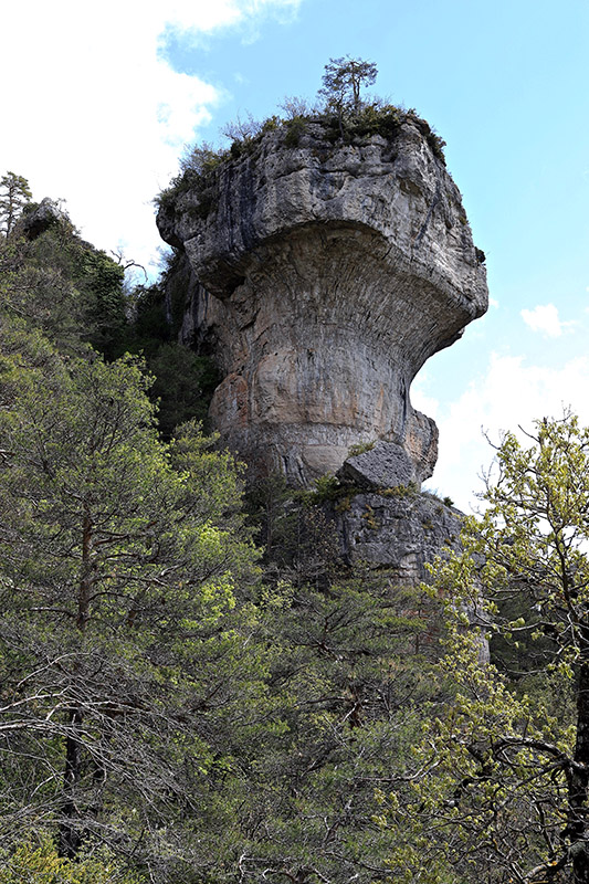 IMG_8805 copie.jpg
