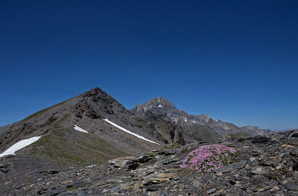 _MGL3841.jpg