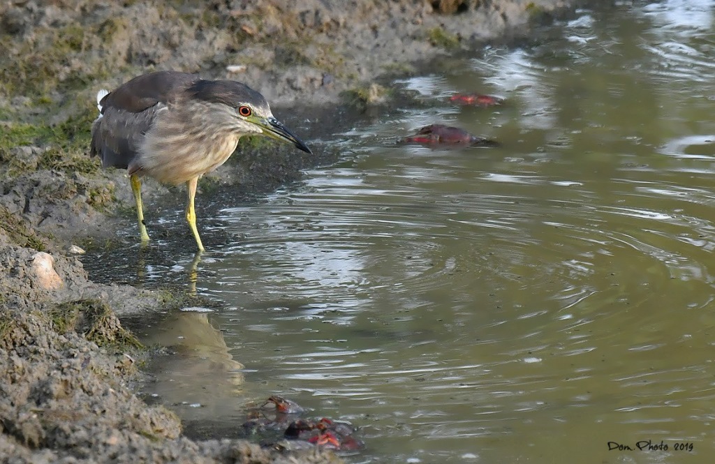 DSC_0404.JPGIN.jpg