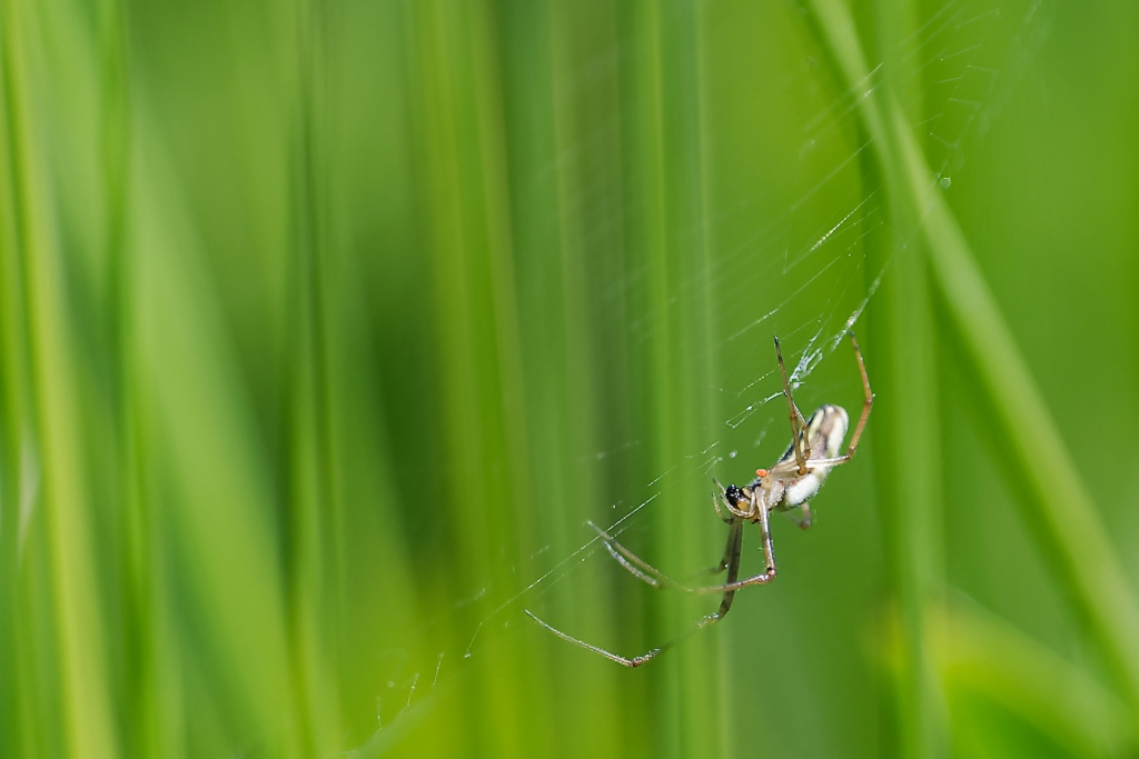 DSC_9215_DxO.jpg