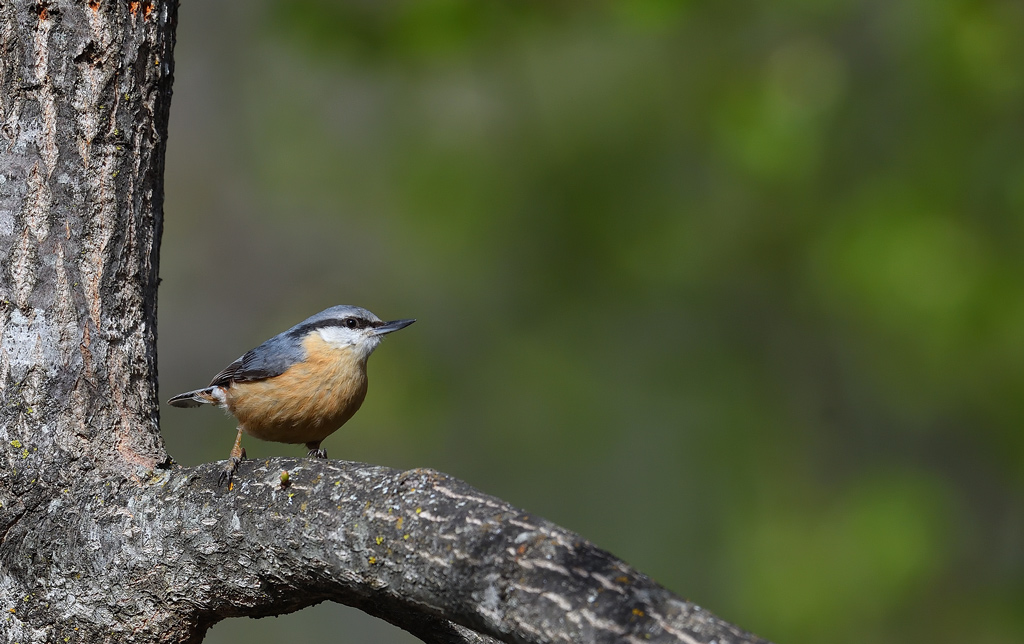 DS5_0346.jpg