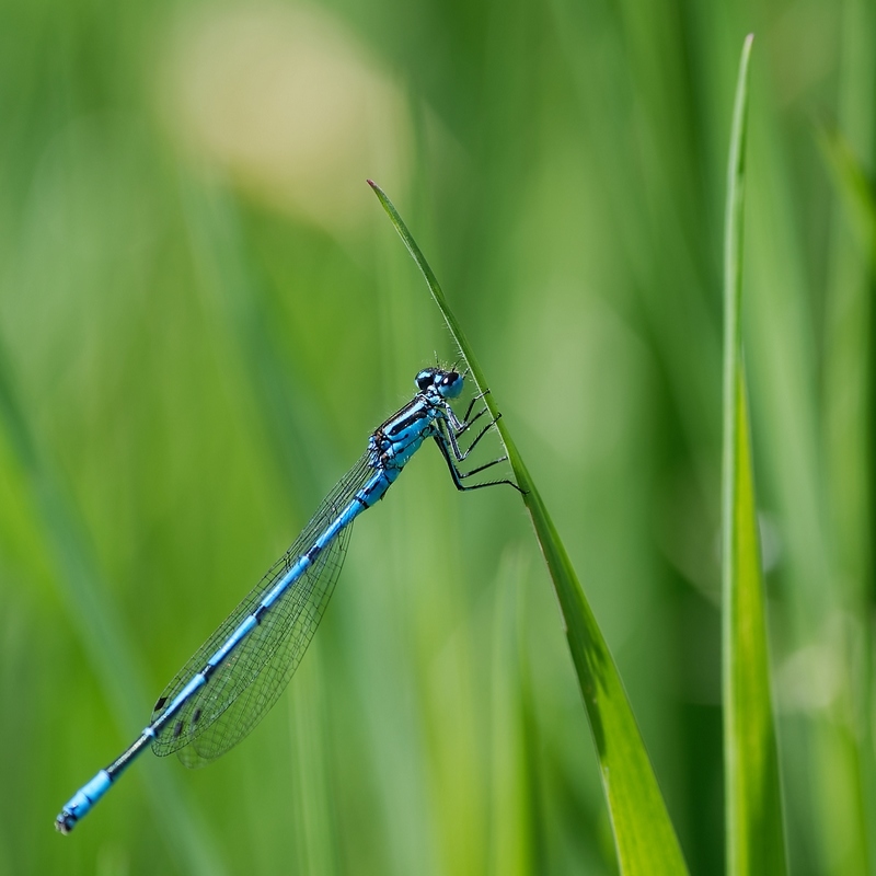 DSC_9256_DxO.jpg