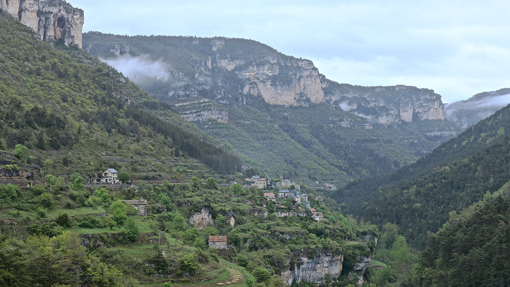 IMG_8586 copie.jpg