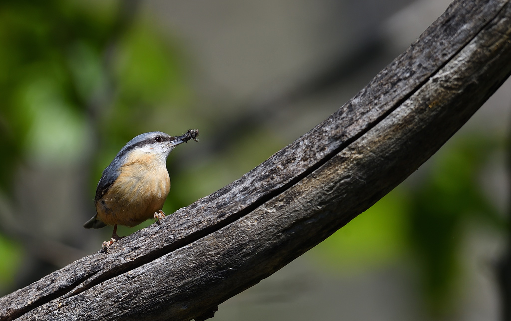DS5_0489.jpg