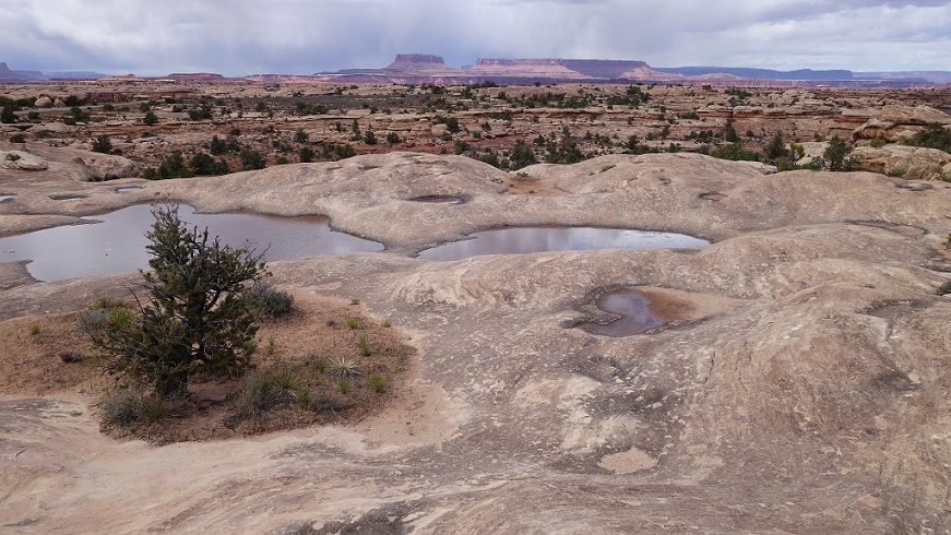 067 Canyonlands Potoles.jpg